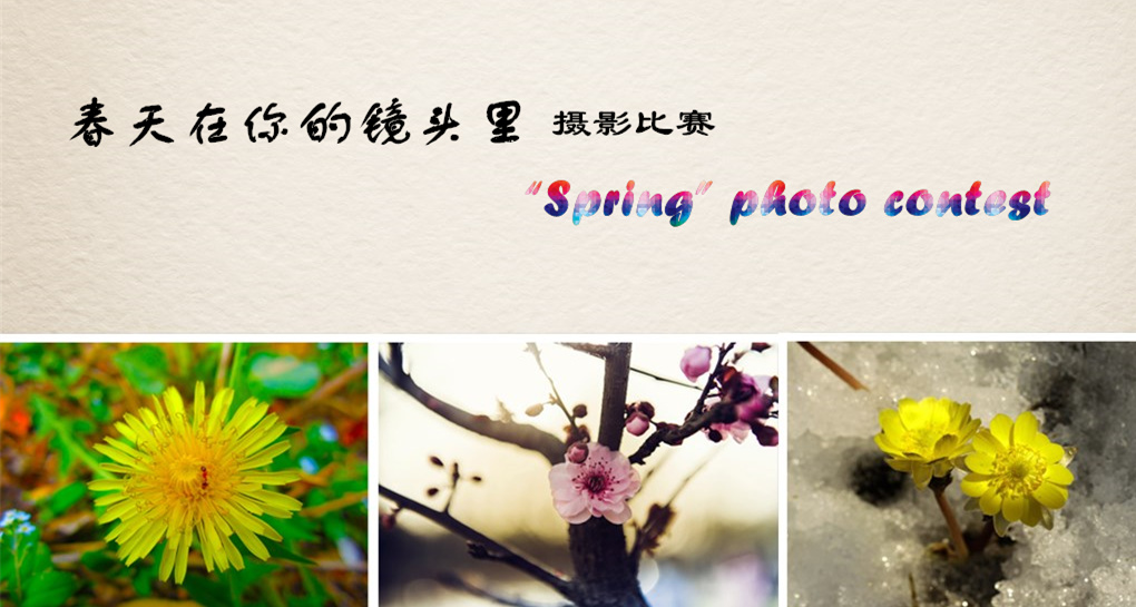 春天摄影比赛.jpg